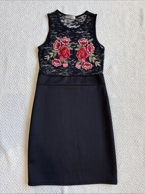 Jasmine Black Lace Mini Dress with Pink & Red Rose Embroidery Sz M
